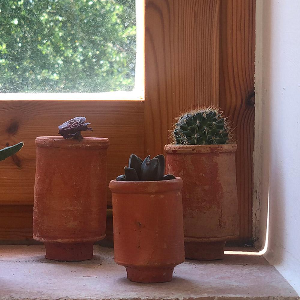 Découvrez la collection de jarres en terre cuite décoration d'intérieur